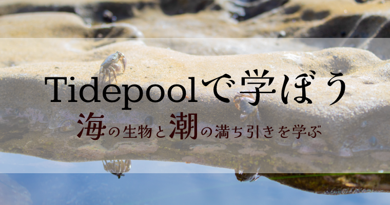 <span class="hpt_headertitle">【活動レポ】『STEAM』Tidepoolで学ぼう！</span>