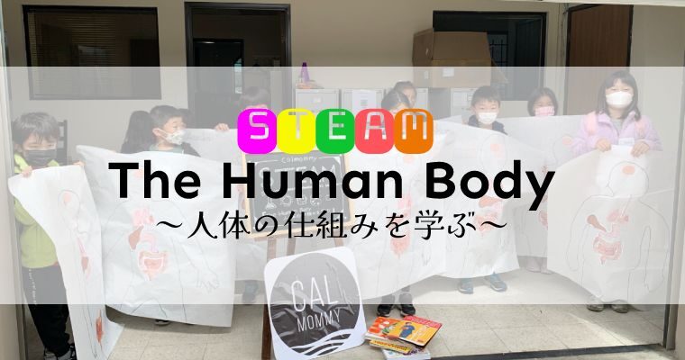 【活動レポ】『STEAM』「The Human Body」